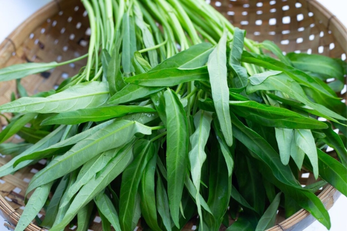 Morning glory vegetable, popular vegetable in Vietnam